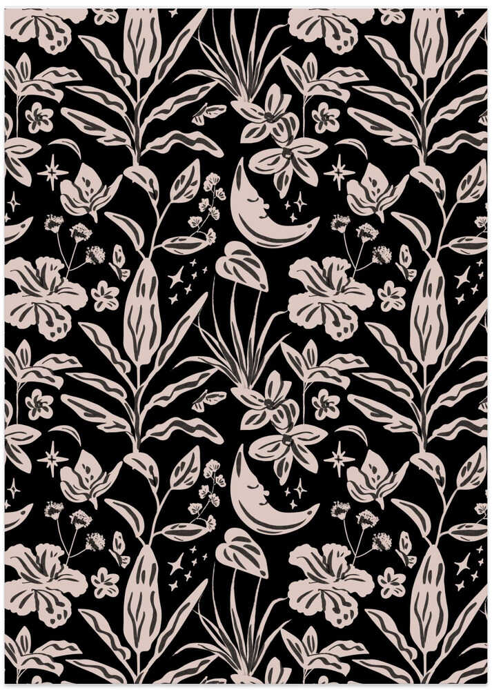 Rainforest Tropical Jungle