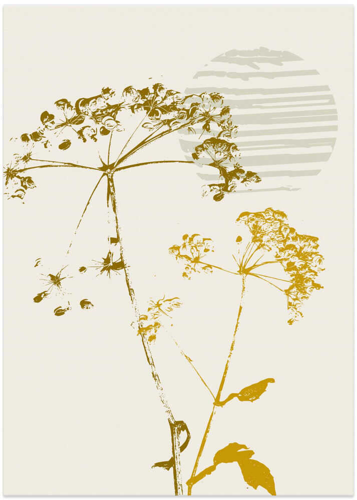 expectant iteration sunset