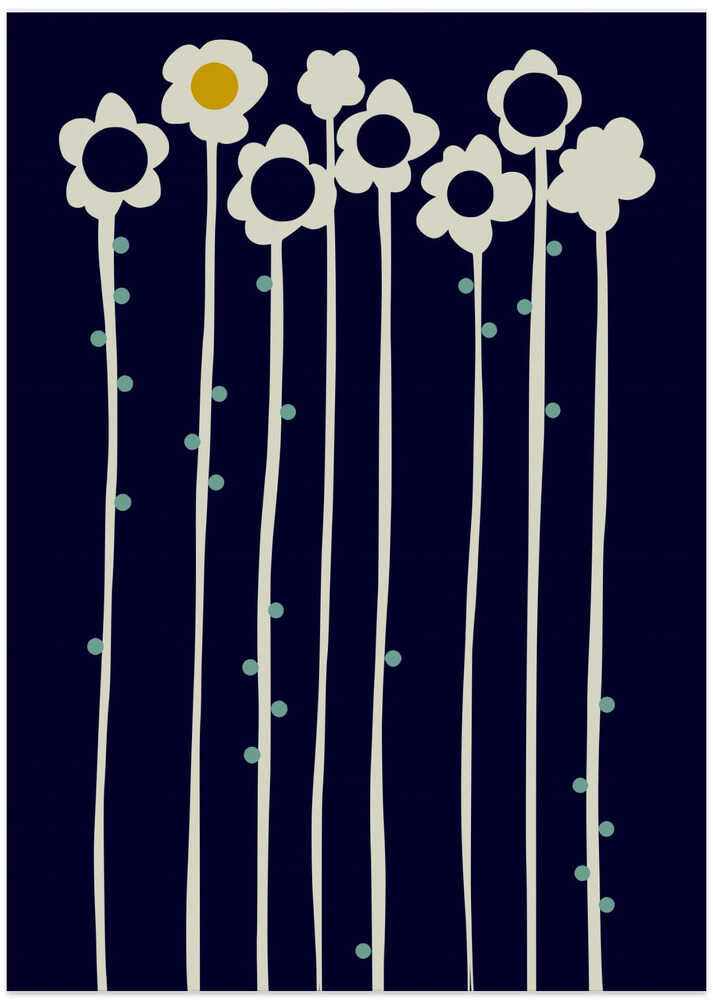 Expectant Iteration Sun Flowers