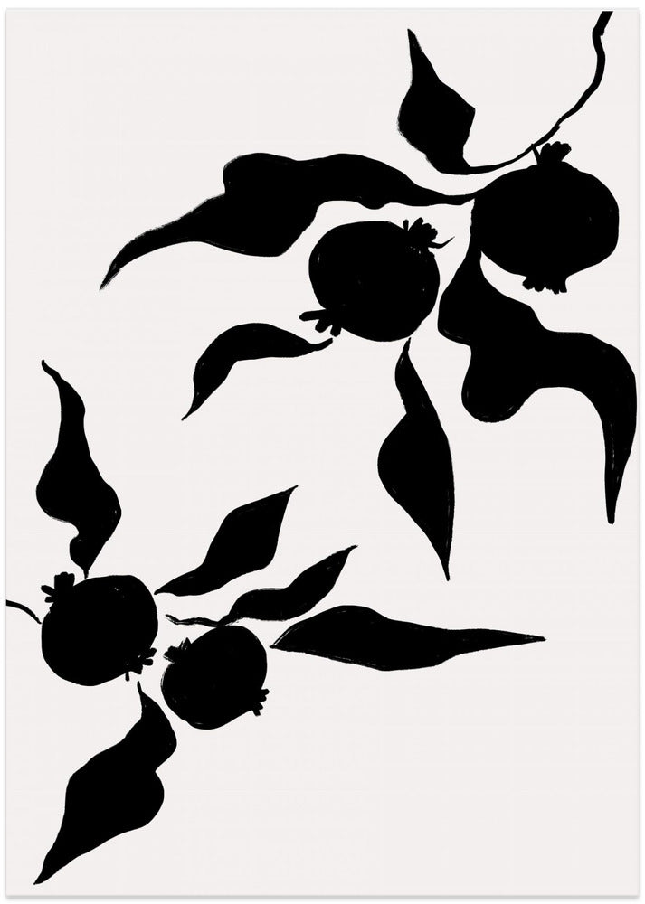 Pomegranate Silhouettes