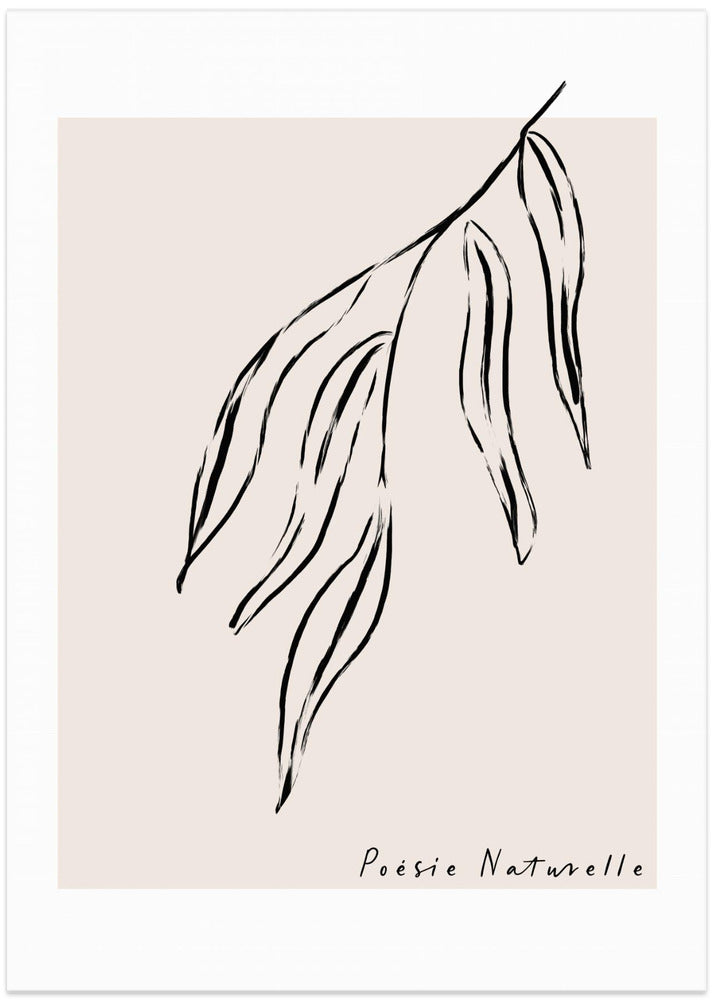 Graceful Leaf Sketch