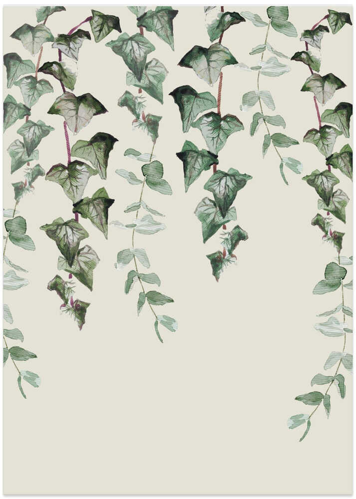 Ivy Y Eucalyptus