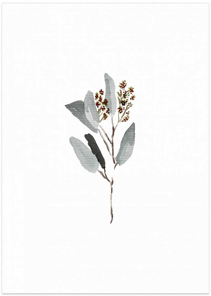 A4 Eucalyptus Branch3