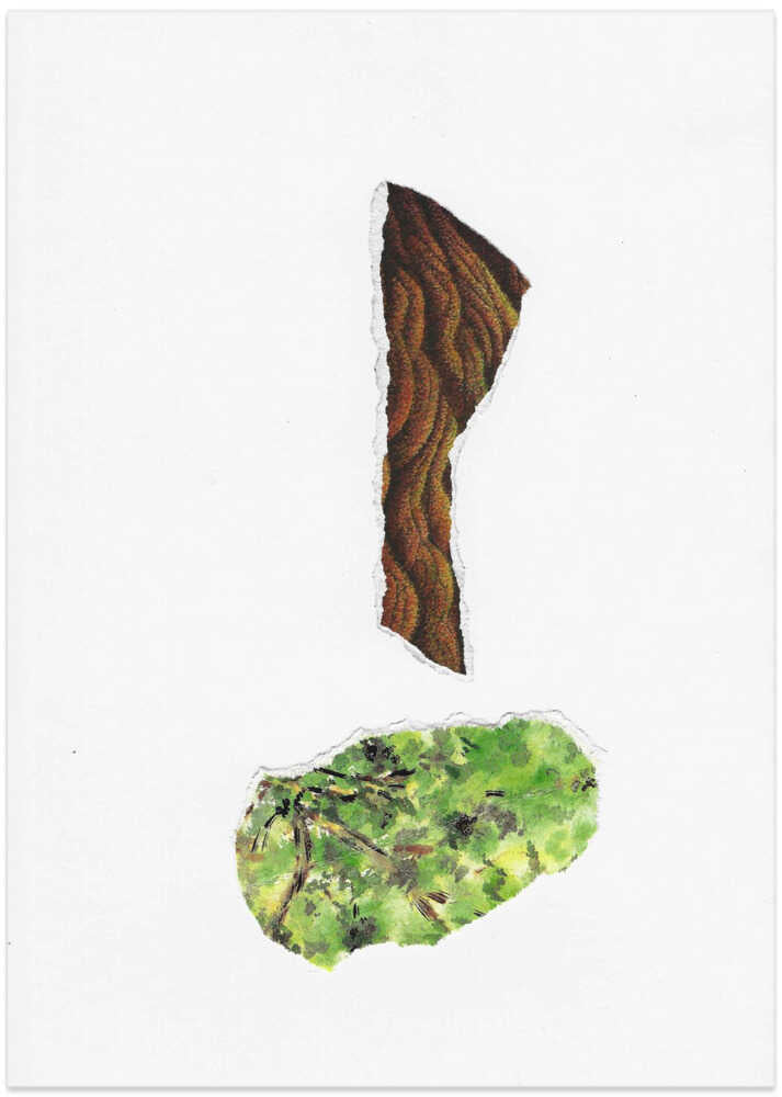 Nature's Unearthed Signs