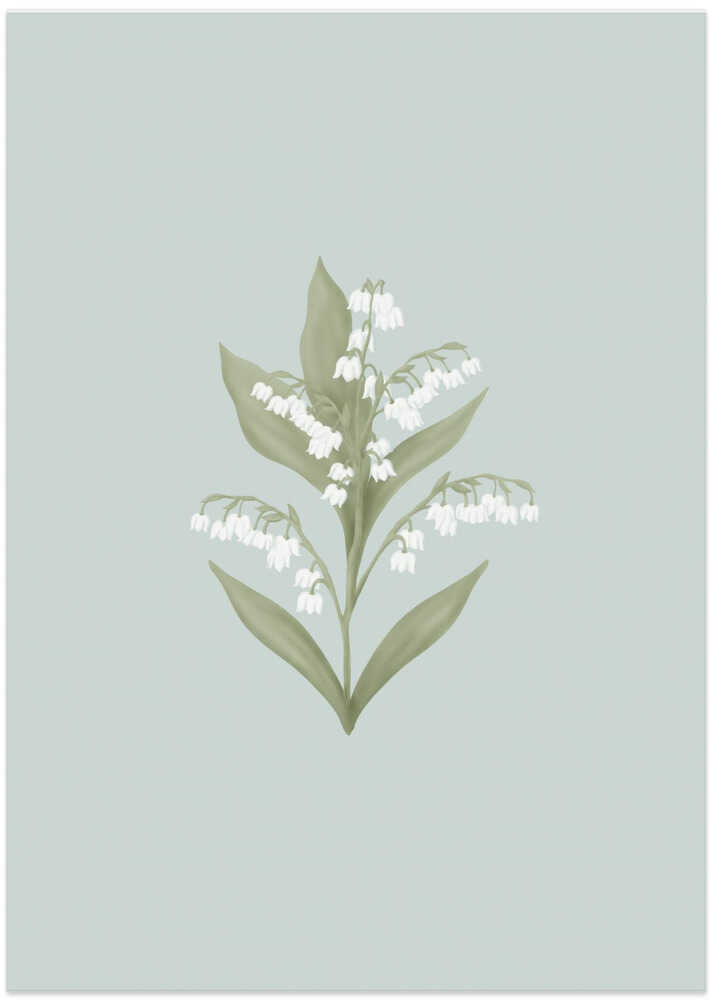 Liljekonvalj Vårblomma - Lily of the Valley Spring Floral