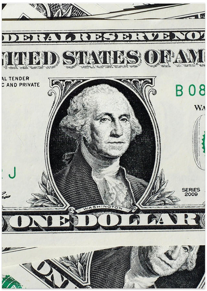 Dollar Bill Greenback Portrait