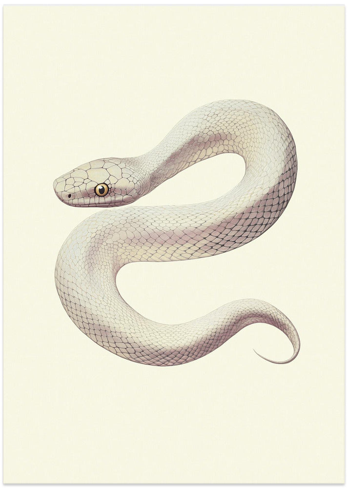 Snake Poster