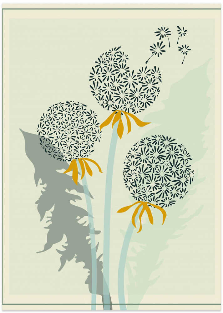 mellow anticipation Dandelion seeds