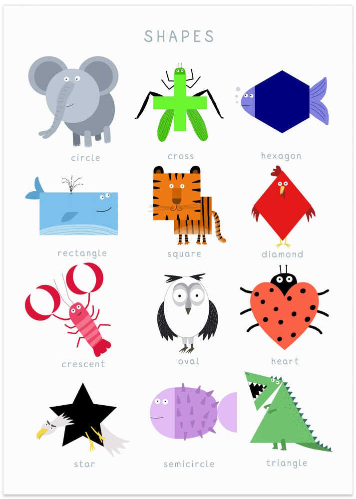 Illustrated Shapes with Fun Characters by Carla Daly