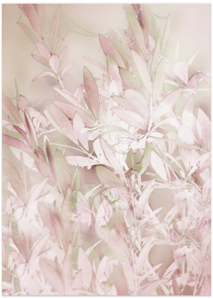 Pastel Floral Design With Soft Pink And Green Hues