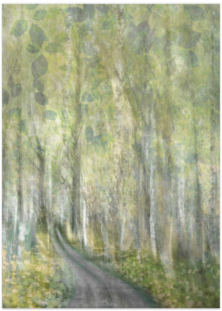 Whispering Forest Path