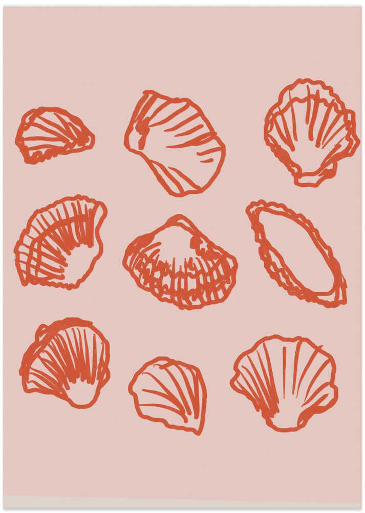 Seashell Symphony