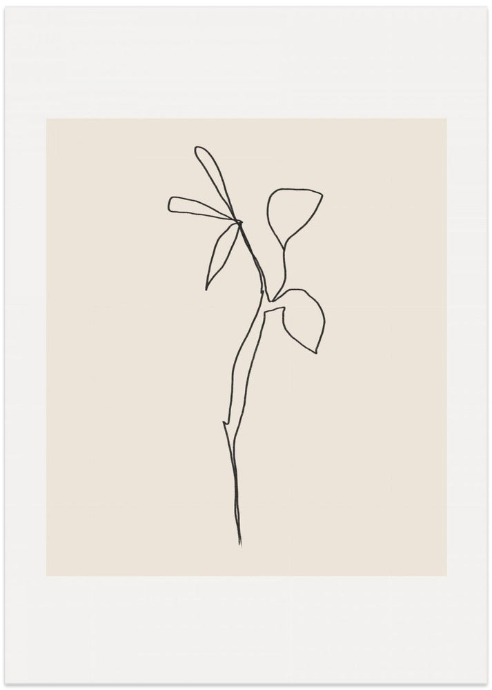 Simple Graceful Line