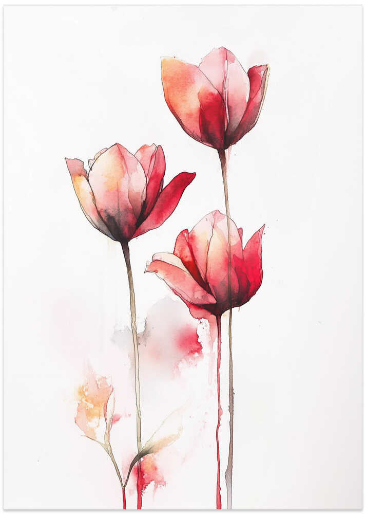 Delicate Red Tulips