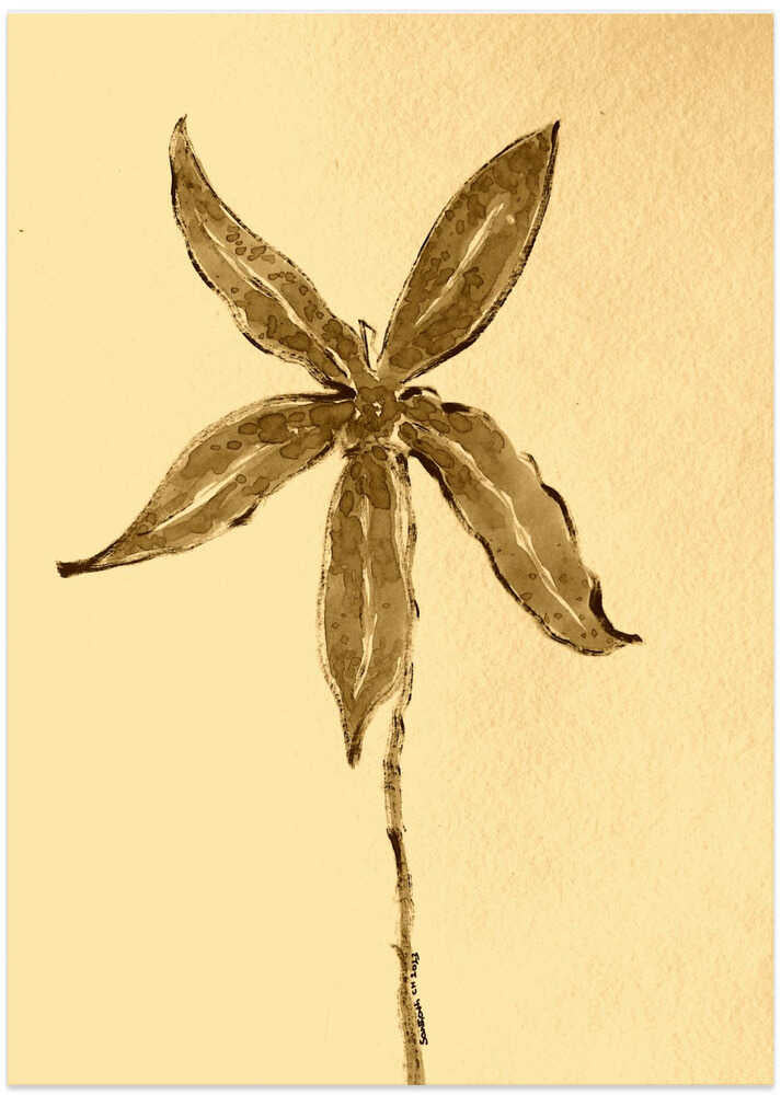 Sepia Blossom