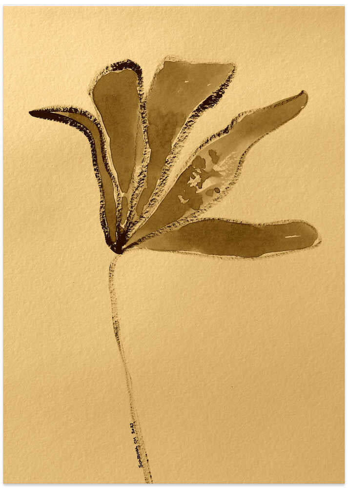 Sepia Blossom