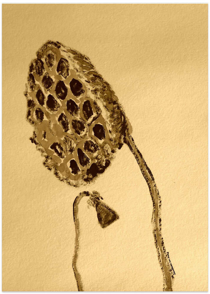 Sepia Lotus Pod