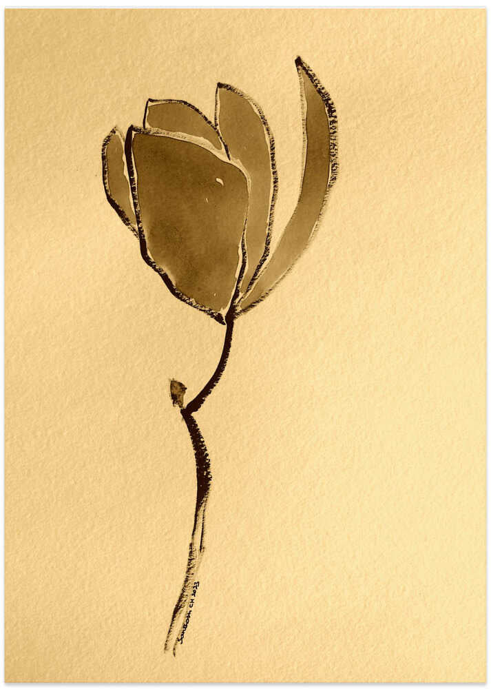 A Tulip On A Creamy Background
