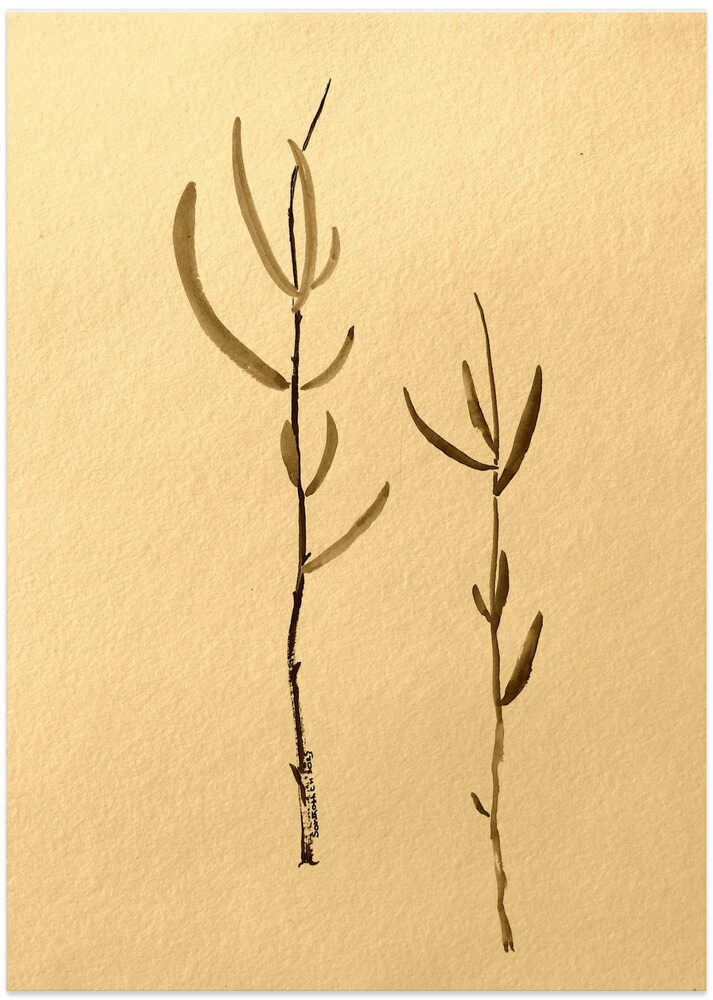 Plants On Textured Paper