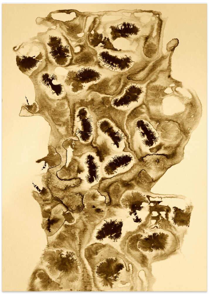 Organic Shapes And Textures In Sepia Tones