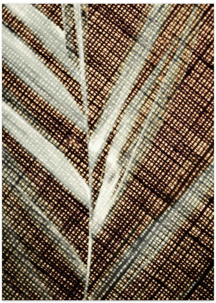 Geometric Leaf Lines