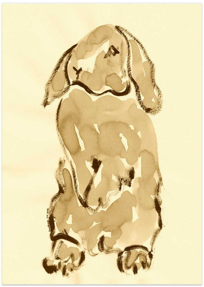 Soft Bunny Silhouette