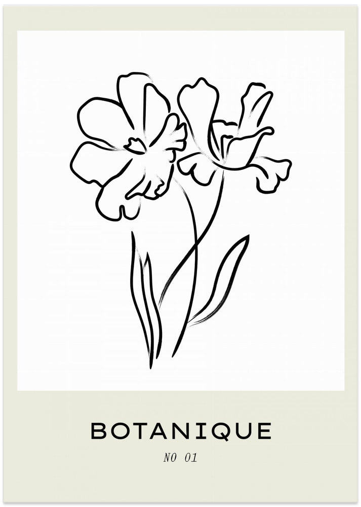 Floral Line Elegance