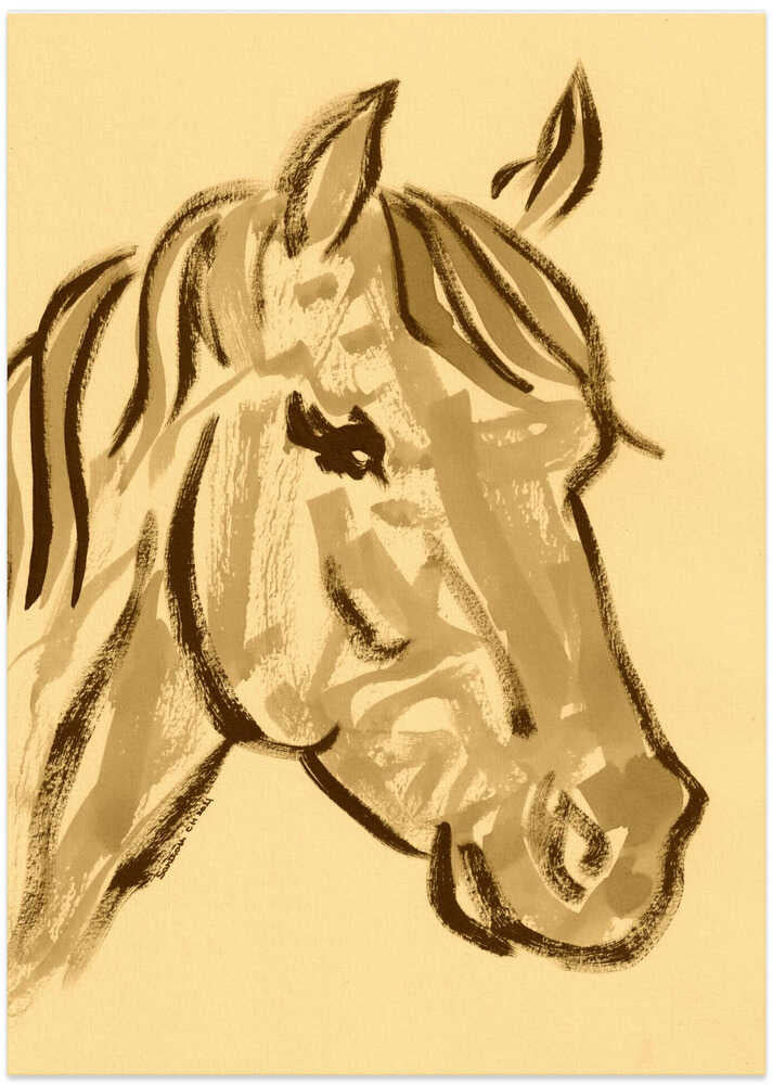 Majestic Equine Sketch