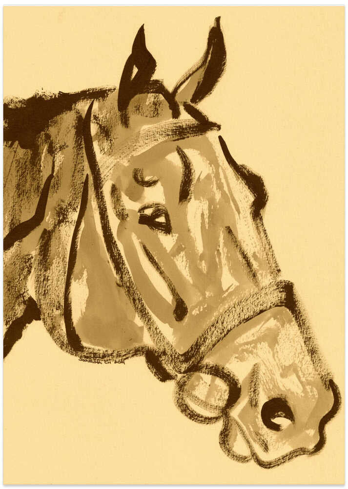 Majestic Equine Sketch