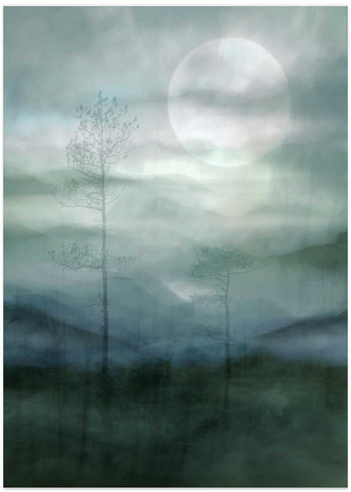 Misty Moonlit Forest