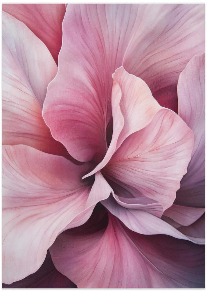 Beauty of Pink Petals