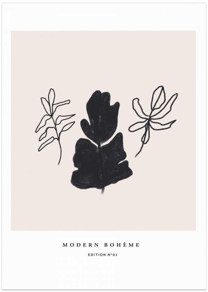 Botanical Silhouettes