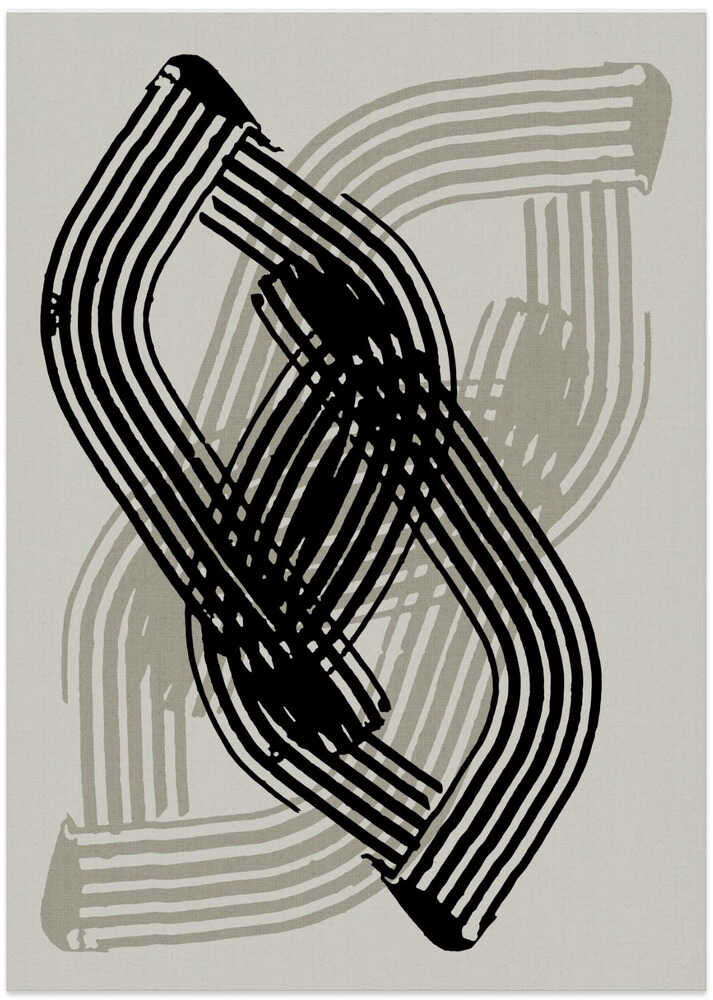Abstract Curves in Black and Grey