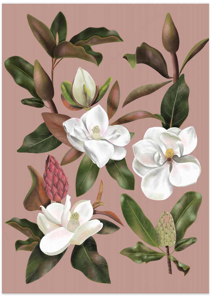 Magnolias Black