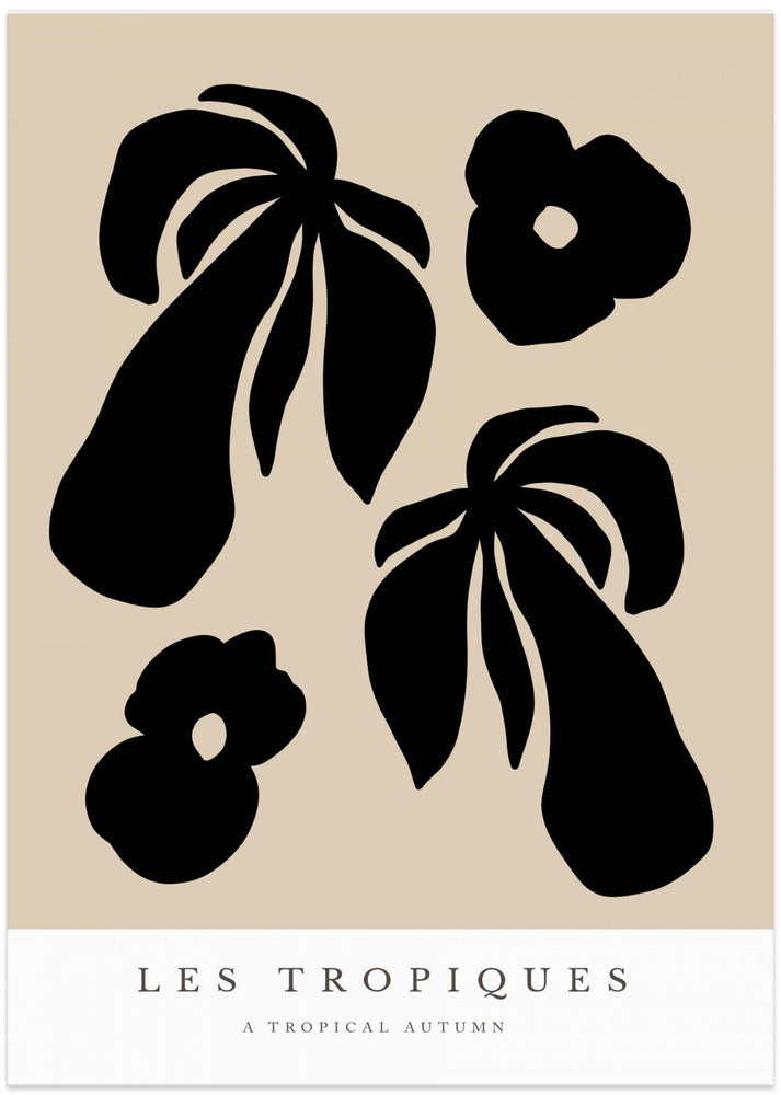 Tropical Silhouettes