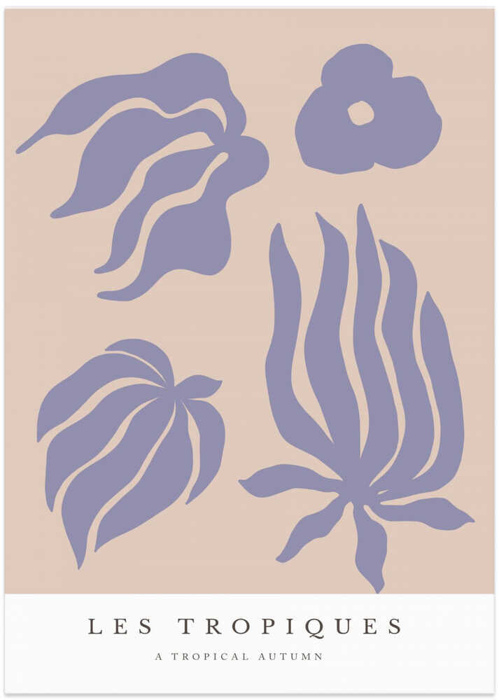 Tropical Silhouettes