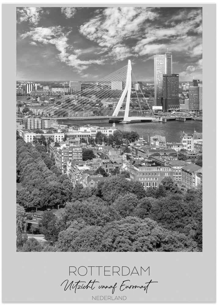 ROTTERDAM View From The Euromast