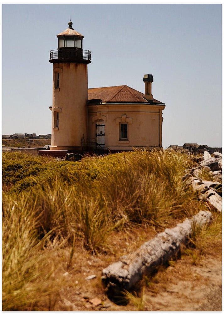 Lighthouse Surrounded By Wild Grass