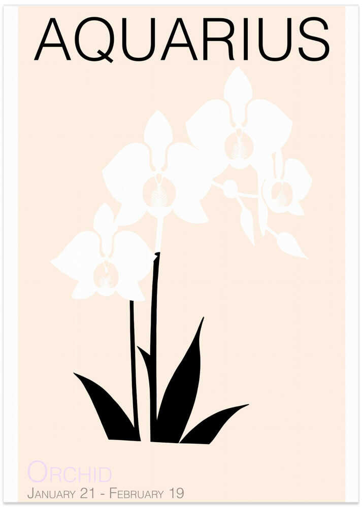 Aquarius Delicate Orchids