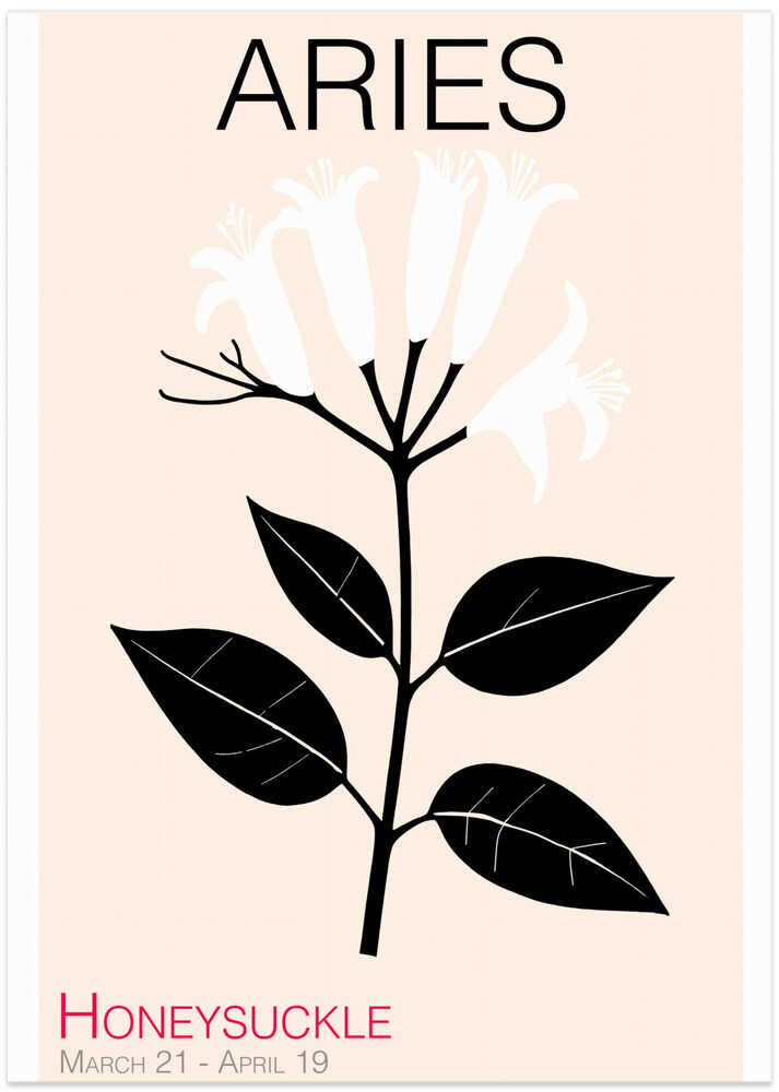 Aries Honeysuckle Plant