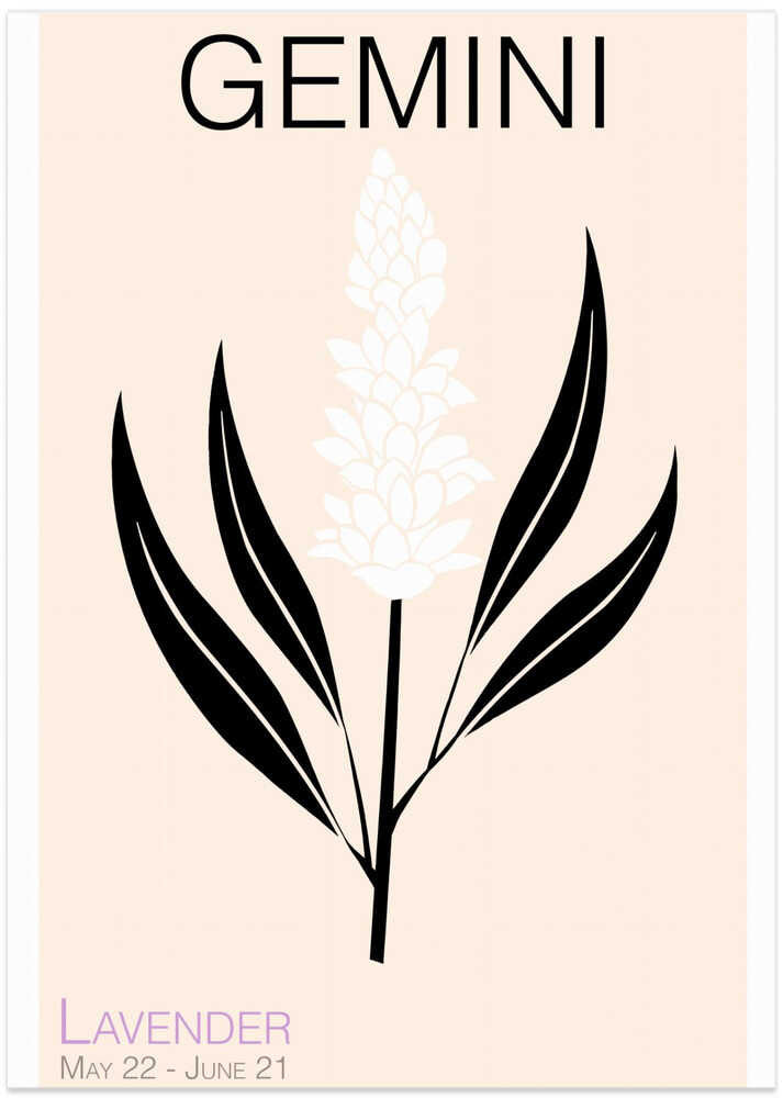 Gemini Black And White Lavender Illustration