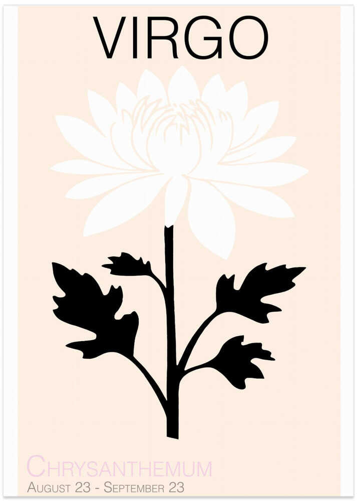 Virgo Chrysanthemum Flower