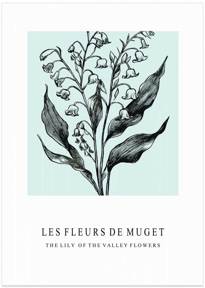 Lily of the Valley Flowers In A Monochrome Illustration