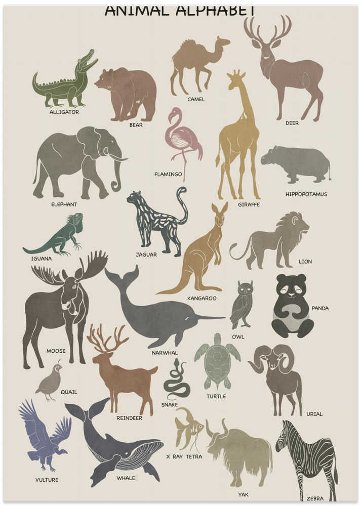 Animal Alphabet