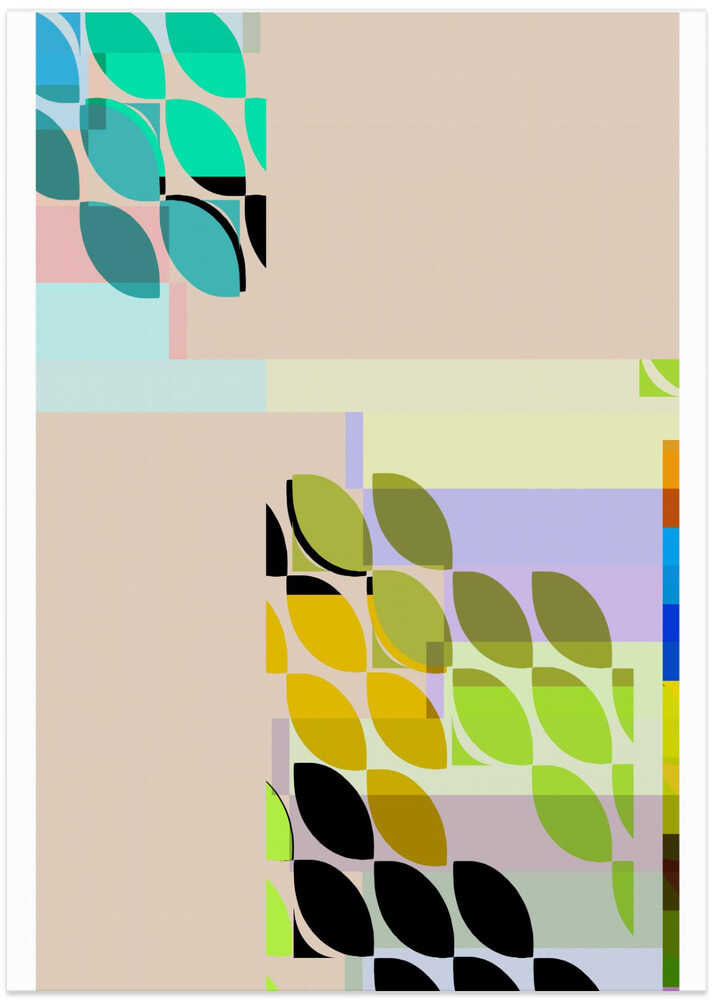 Colorful Leaf Like Shapes