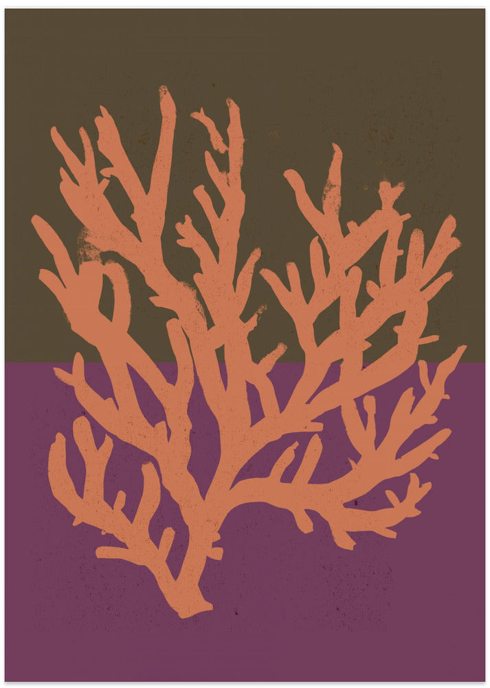 Coral Silhouette