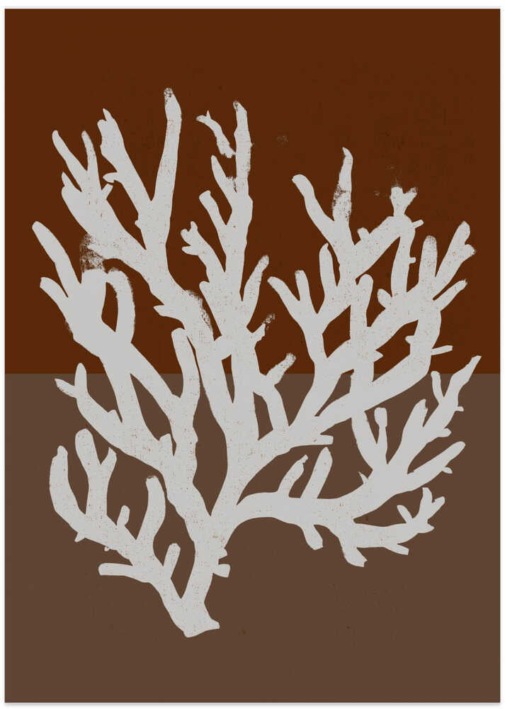 White Coral Silhouette