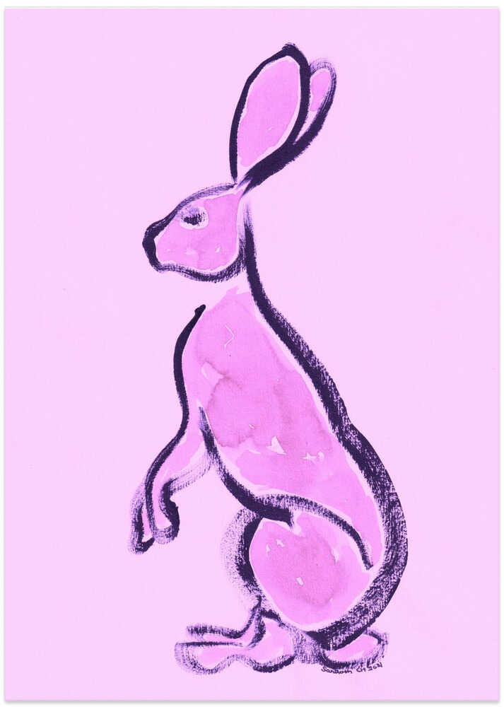 Lavender Hare