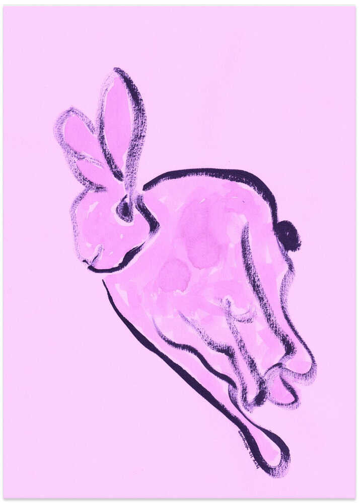 Pink Bunny Dreams