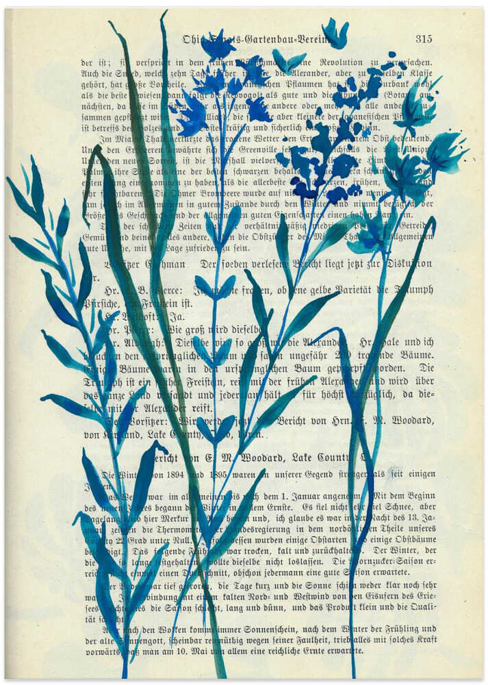 Denim blue sketch with wild grasses